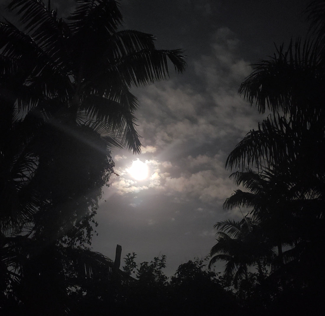 Moonlight shining through dark clouds framed by palm trees — photograph by Myshjua Murray