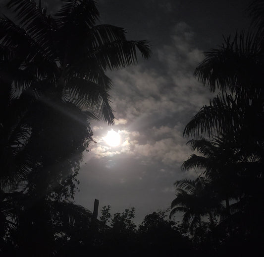 Moonlight shining through dark clouds framed by palm trees — photograph by Myshjua Murray
