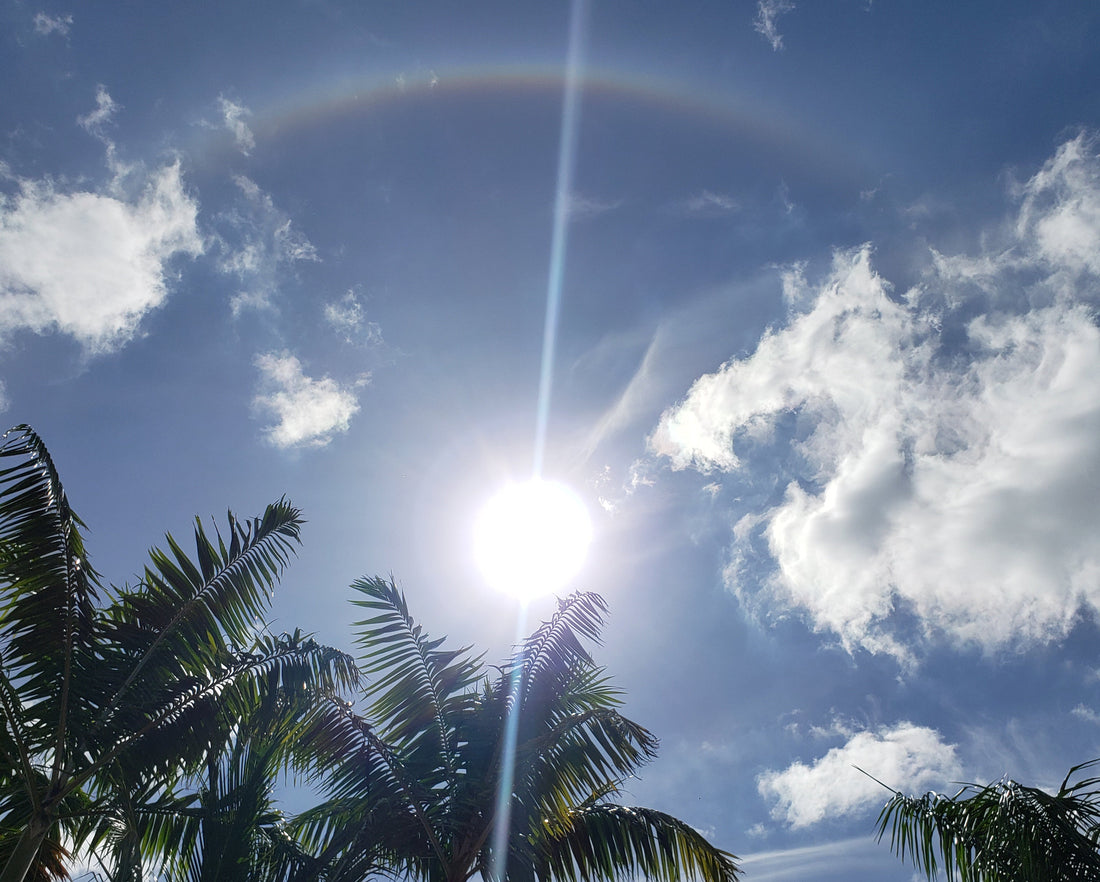 Protect Your Peace: Living Lit with Power, Love, and a Sound Mind.