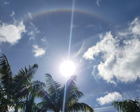 Protect Your Peace: Living Lit with Power, Love, and a Sound Mind.